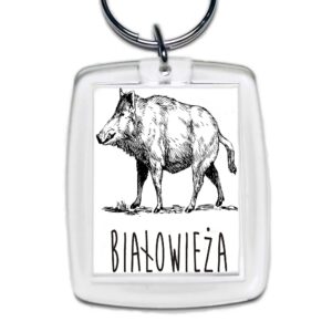 Brelok akrylowy Białowieża. Śladami Dzika