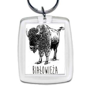 Brelok akrylowy Białowieża. Śladami Żubra