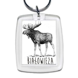 Brelok akrylowy Białowieża. Śladami łosia