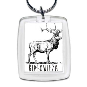 Brelok akrylowy Białowieża. Tropem Jelenia