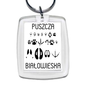 Brelok akrylowy Puszcza Białowieska - Tropem Zwierząt