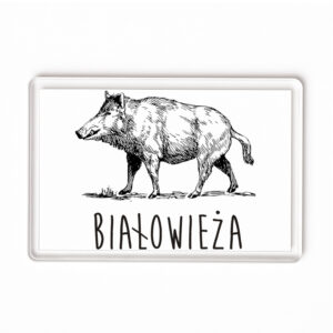 Magnes akrylowy Białowieża. Śladami Dzika