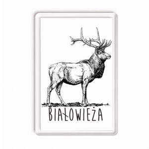 Magnes akrylowy Białowieża. Tropem Jelenia