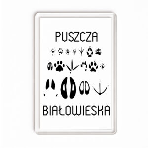 Magnes akrylowy Puszcza Białowieska - Tropem Zwierząt