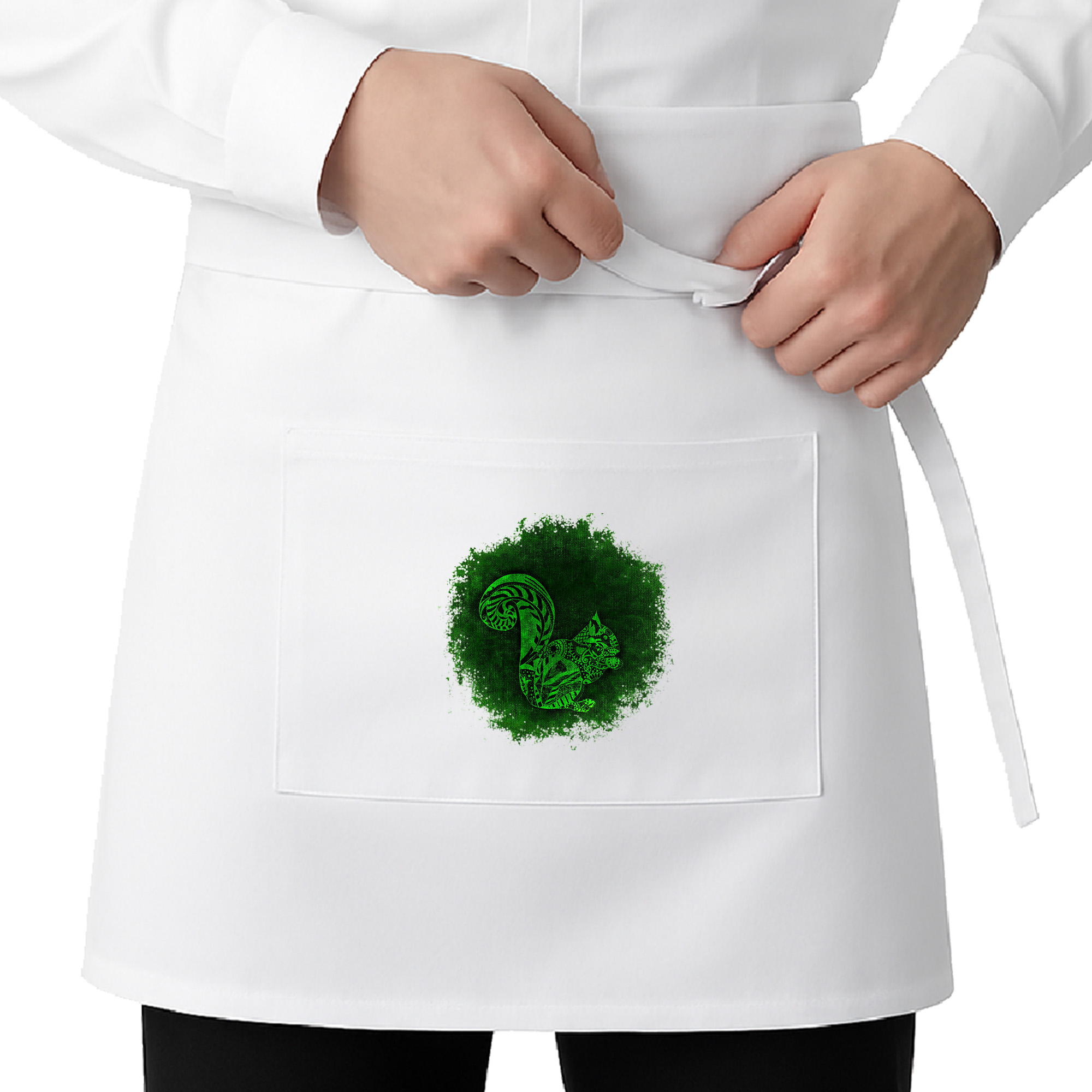 Zapaska krótka Wiewiórka z Podlasia