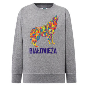 bluza dziecięca Duma Podlasia - Sokołów