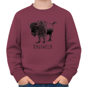 bluza dziecięca Białowieża. Śladami Żubra