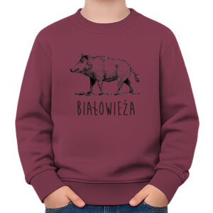 bluza dziecięca Białowieża. Śladami Dzika