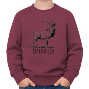 bluza dziecięca Białowieża. Tropem Jelenia