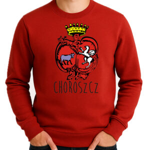 bluza unisex Siła Sokoła - Sokołów Podlaski