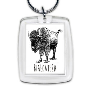 brelok akrylowy Białowieża. Śladami Żubra