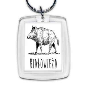 brelok akrylowy Białowieża. Śladami Dzika