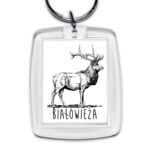 brelok akrylowy Białowieża. Tropem Jelenia