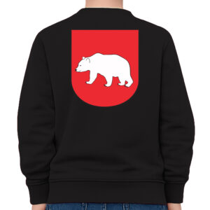 bluza dziecięca tył Herb Radzyń