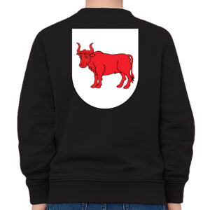 bluza dziecięca tył Pamiątka z Bielska Podlaskiego