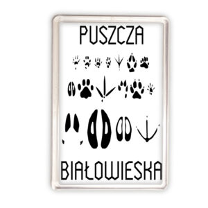magnes akrylowy Puszcza Białowieska - Tropem Zwierząt