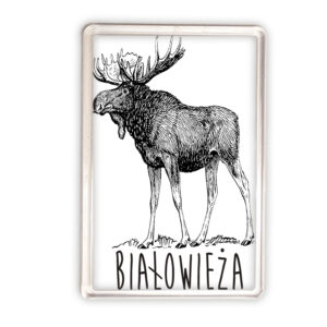 magnes akrylowy Białowieża. Śladami łosia