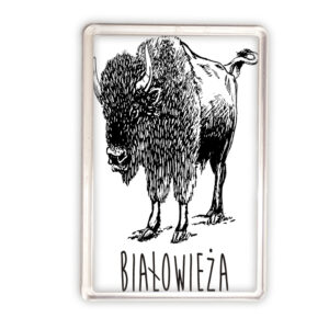 magnes akrylowy Białowieża. Śladami Żubra