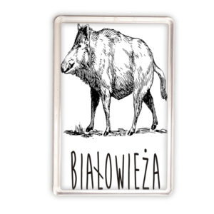 magnes akrylowy Białowieża. Śladami Dzika