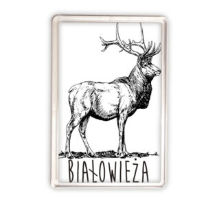 magnes akrylowy Białowieża. Tropem Jelenia