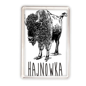 magnes akrylowy Podlaski Żubr - Hajnówka