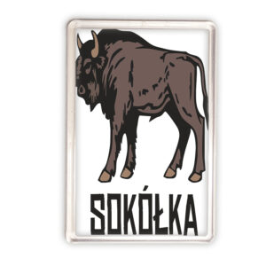 magnes akrylowy Podlaski Żubr - Sokółka