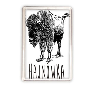 magnes akrylowy Żubr Podlaski - Hajnówka